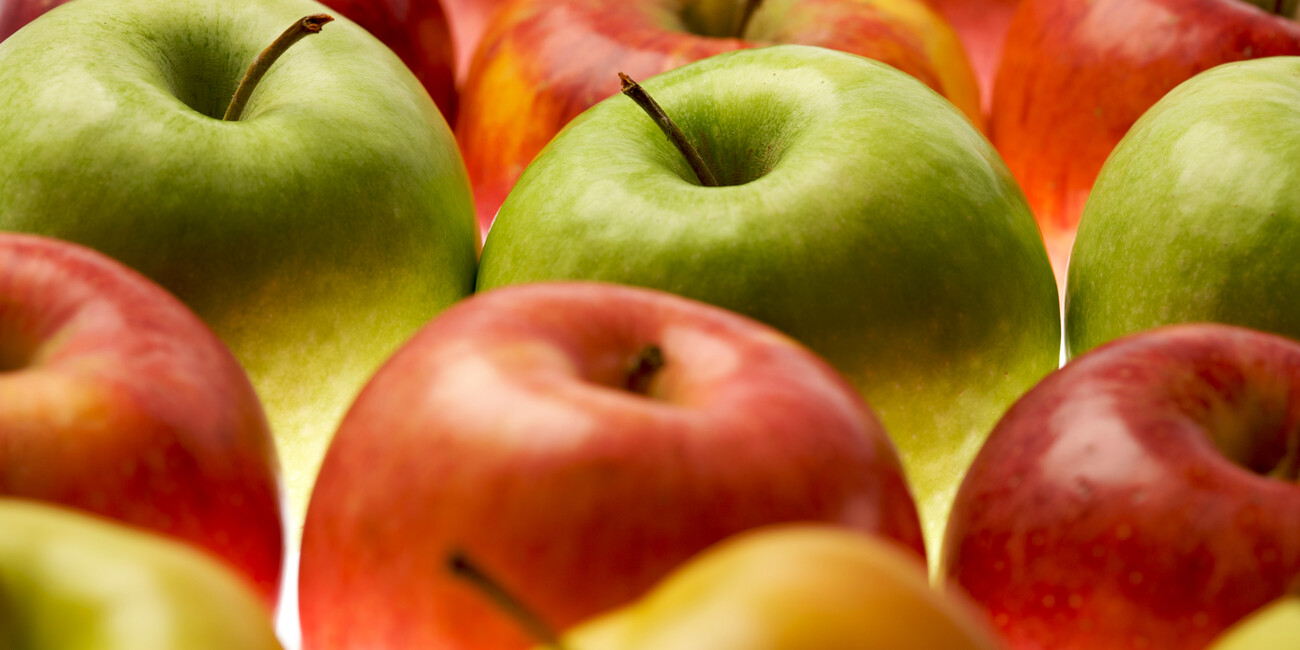 September und Oktober: drei Wochenenden voller Programm DIE HERBSTFESTIVALS IN TRENTO UND ROVERETO #3