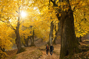 Herbstzauber im Trentino 