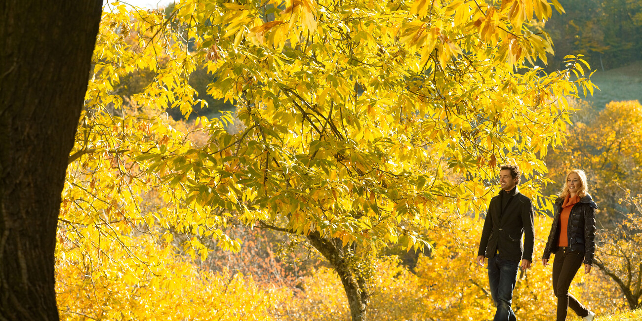 Herbstzauber im Trentino  #3