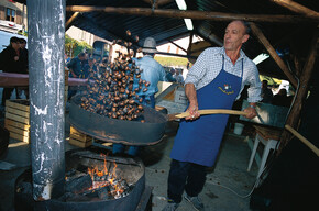 Das Beste aus Trauben, Äpfeln und Kastanien