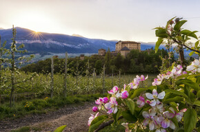 Frühlingserwachen im Trentino!