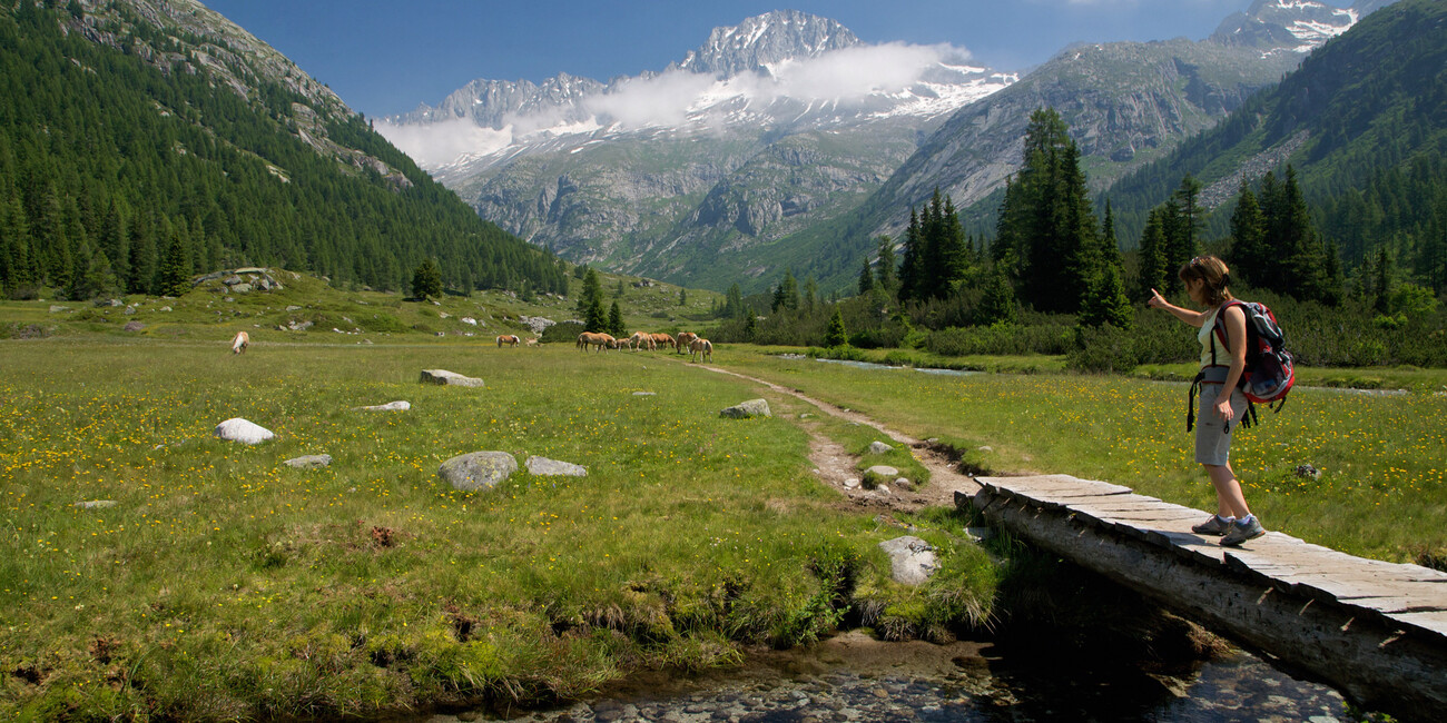 Trentino: Achte internationale UNESCO Konferenz „Global Geoparks“  #2