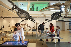 Herbstliche Geschichten aus dem Trentino 