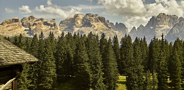 Трентино в фокусе