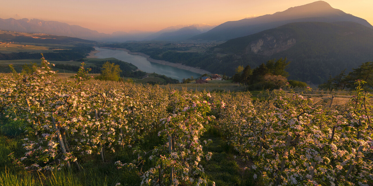 Frühling im Trentino #2