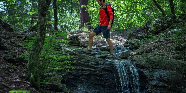 Waldbaden, Meditation und Wellness für Natururlauber #1