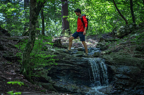 Waldbaden, Meditation und Wellness für Natururlauber