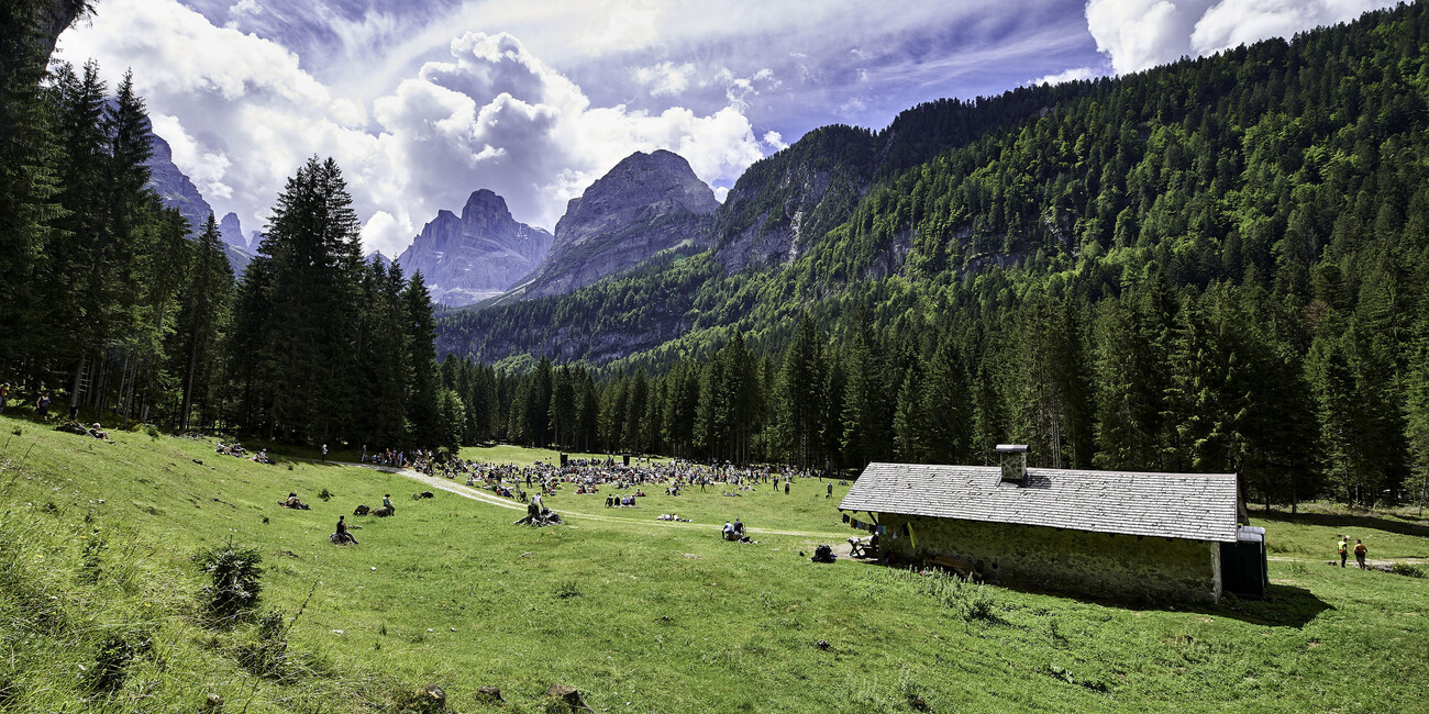 Brasilianische Rhythmen treffen auf Jazz #1