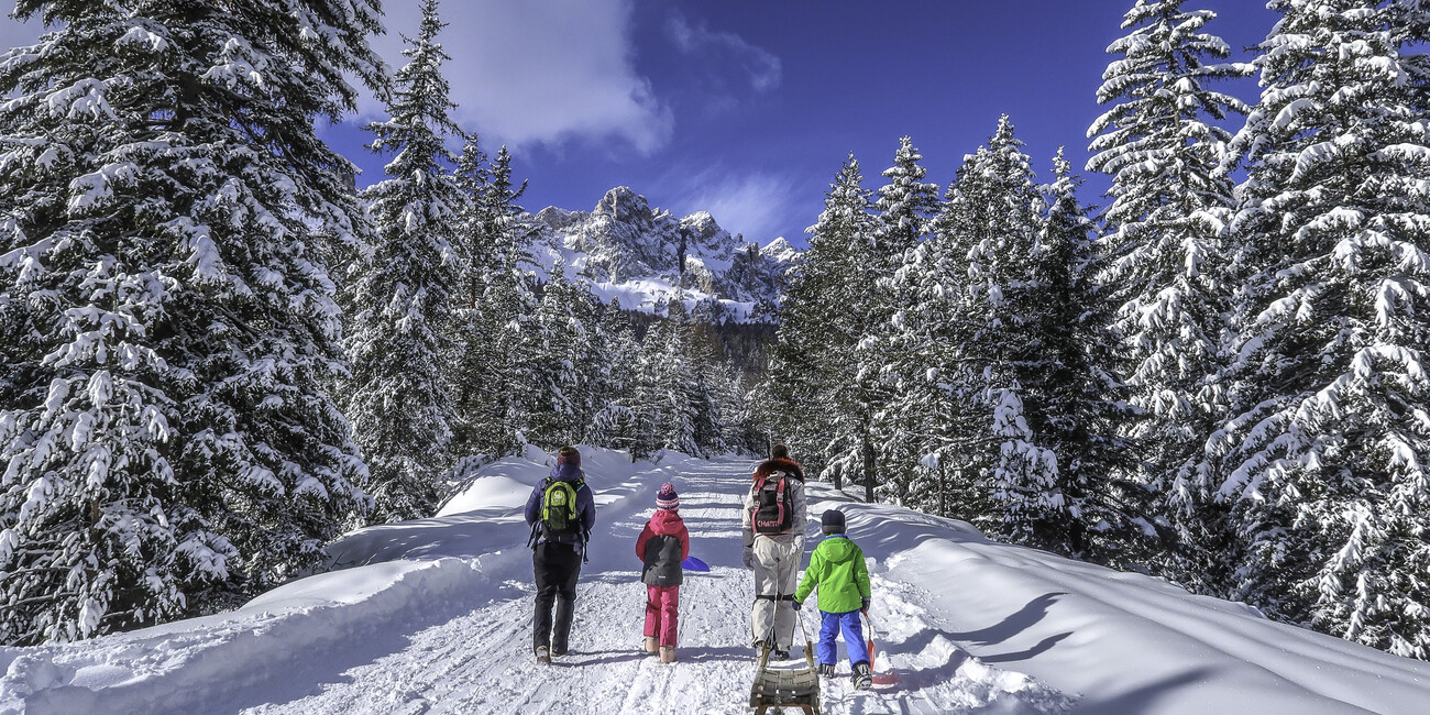 Entschleunigung im Schnee  #2