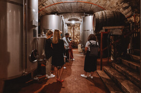 ENOTOURLAB, KDYŽ VÍNO VYPRÁVÍ O REGIONU 