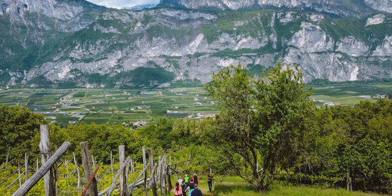 ENOTOURLAB, KDYŽ VÍNO VYPRÁVÍ O REGIONU  #4