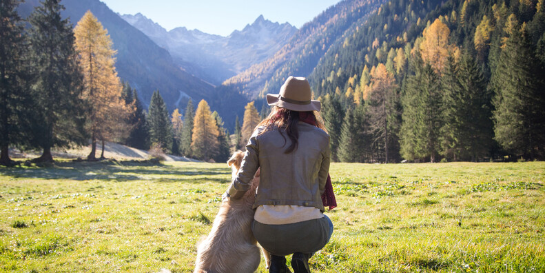 Autumn in Trentino: deer love songs and fascinating hikes #1
