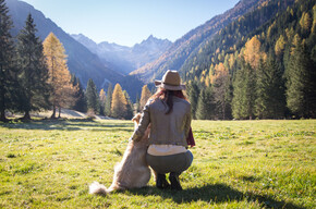 Autumn in Trentino: deer love songs and fascinating hikes