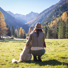 Autumn in Trentino: deer love songs and fascinating hikes
