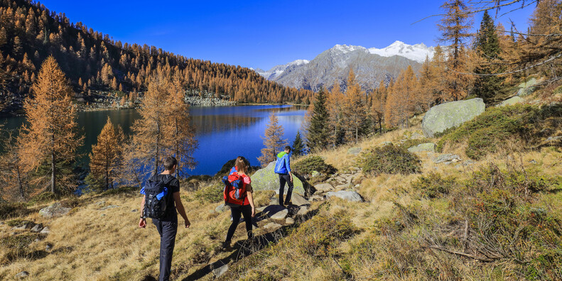 THE ENCHANTMENT OF WALKING IN THE TRENTINO DOLOMITES #3