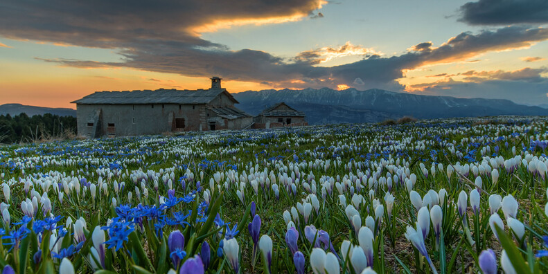 The Dolomites in Bloom: Five Ways to Enjoy Trentino in the Spring #1