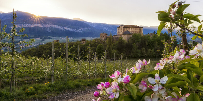 The Dolomites in Bloom: Five Ways to Enjoy Trentino in the Spring #3
