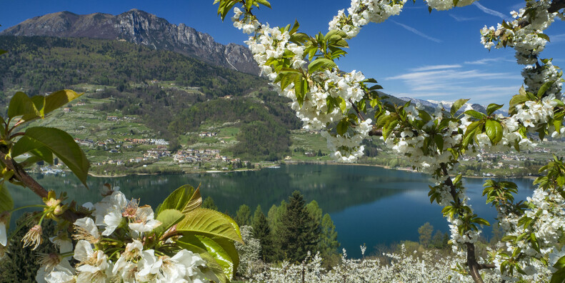 Happy Easter from Trentino… with a present! #1