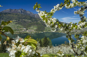 Happy Easter from Trentino… with a present!