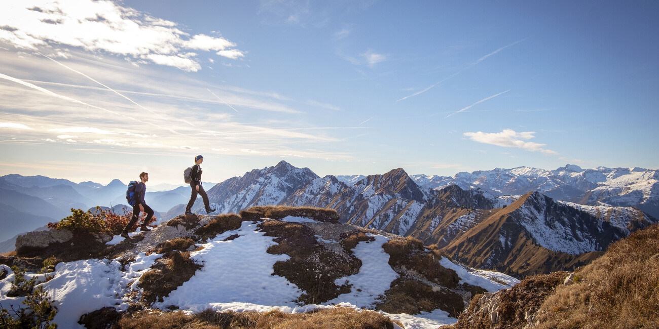 THE PATH OF PEACE, A PATH FOR ALL #1