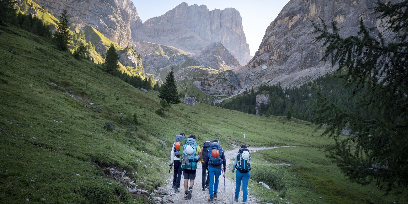 THE PATH OF PEACE, A PATH FOR ALL #3