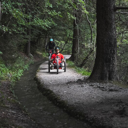 Trentino Open: Trentino for Everyone