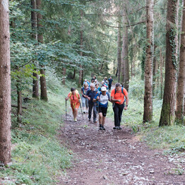 THE ULTIMATE SOLO JOURNEY: EXPLORE THE ANCIENT TRAILS OF THE ITALIAN REGION OF TRENTINO