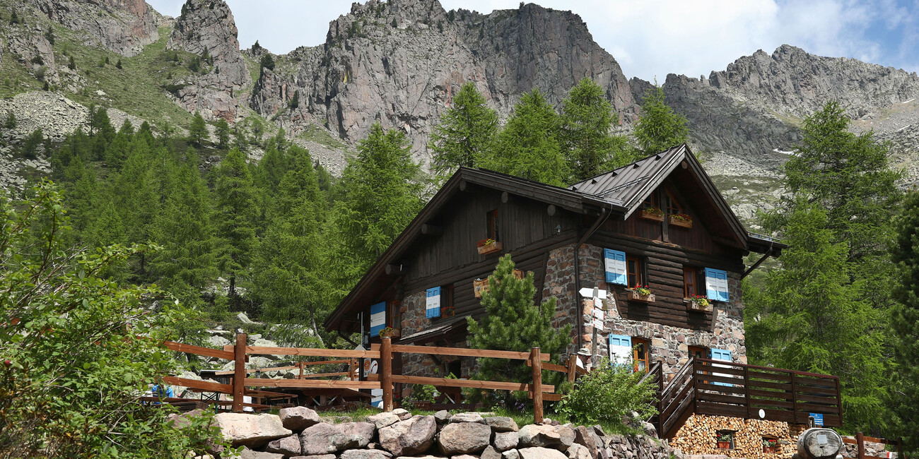 A rare and dramatic view of autumn #1