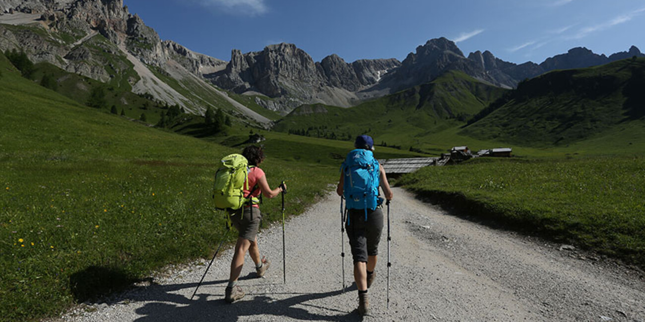 It's time for a proper walk #2