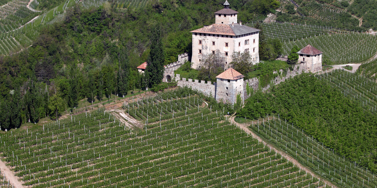 SUMMER FOOD EVENTS & OTHER STORIES #3