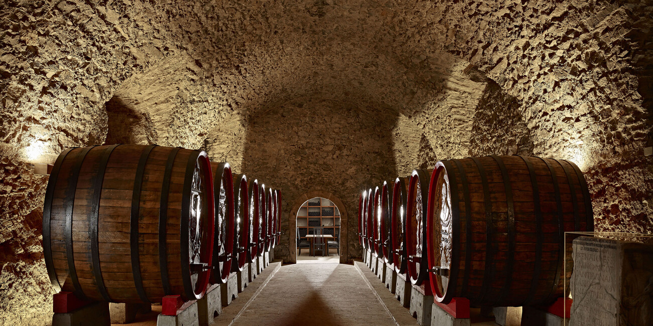 FOOD AND WINE IN TRENTINO #3