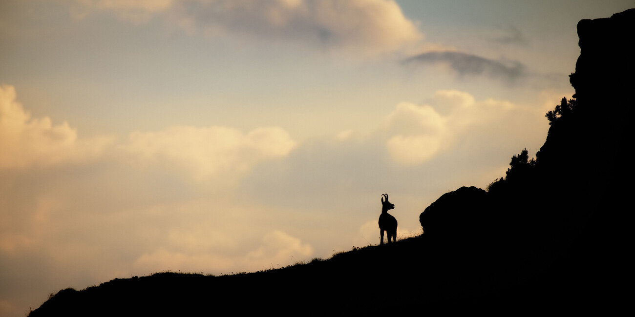 TRENTINO IN THE SPRING #4