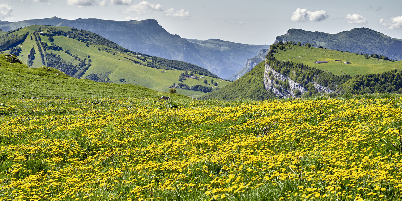 TRENTINO IN THE SPRING #3