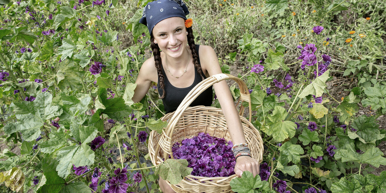 DISCOVERING TRENTINO’S FLAVOURS AND LOCAL INGREDIENTS #1