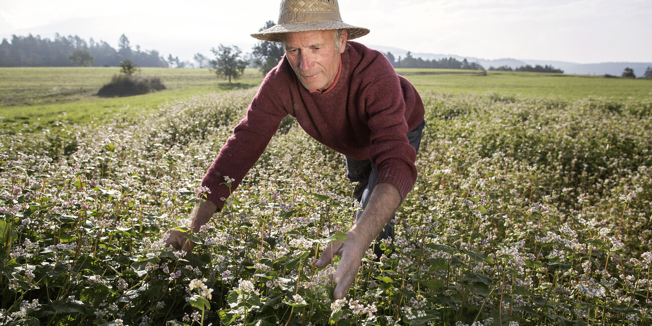 DISCOVERING TRENTINO’S FLAVOURS AND LOCAL INGREDIENTS #2