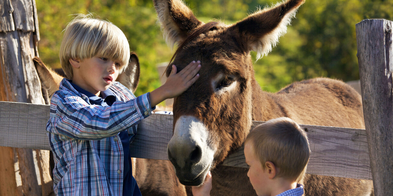 Von Agriturismo bis Paragliding - Familienurlaub im Trentino: überraschend erfrischend #1