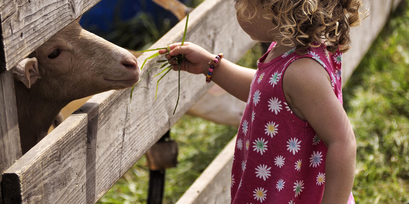 Von Agriturismo bis Paragliding - Familienurlaub im Trentino: überraschend erfrischend #4