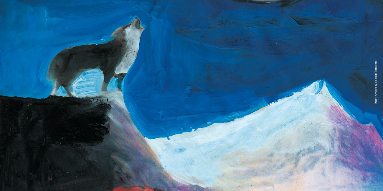 Trento Film Festival ‘Bergen en culturen’  #1