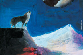 Trento Film Festival ‘Bergen en culturen’ 