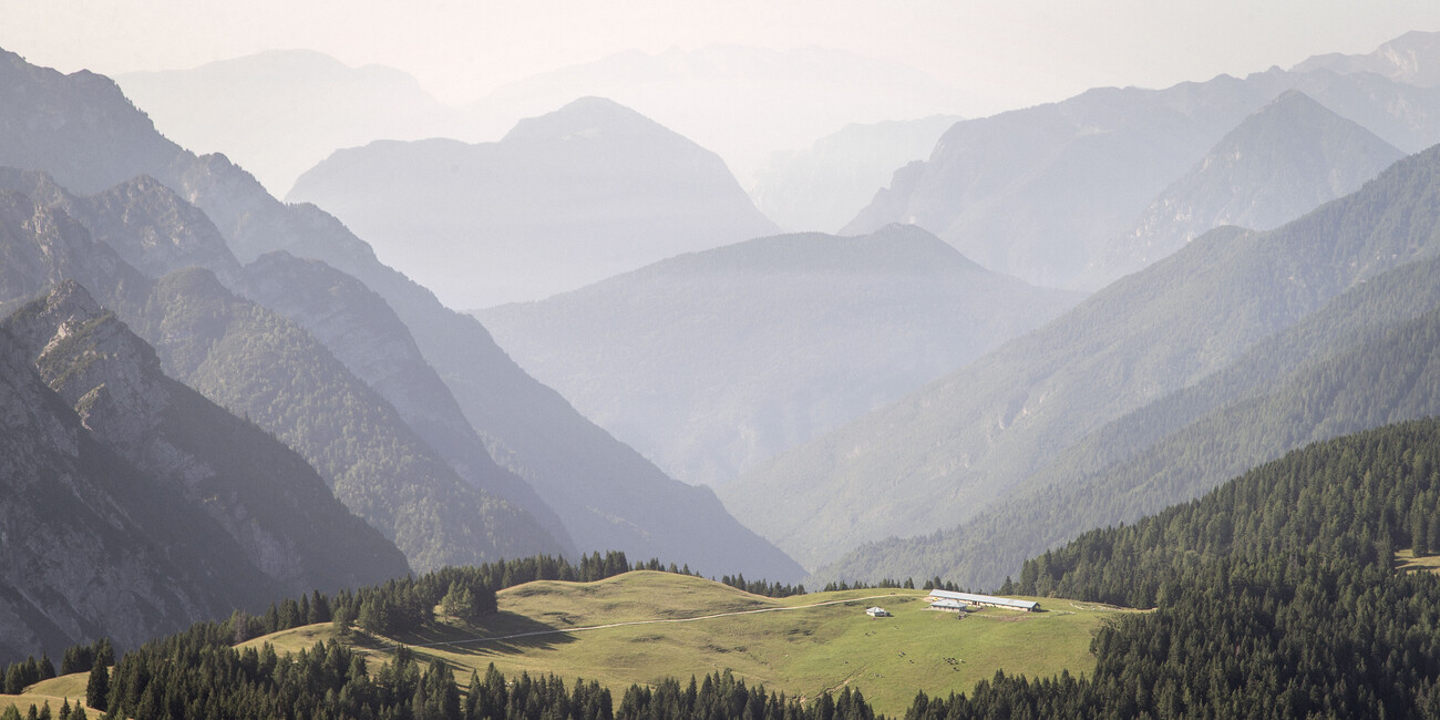 BALANCING DEVELOPMENT WITH PROTECTING BIODIVERSITY  #1