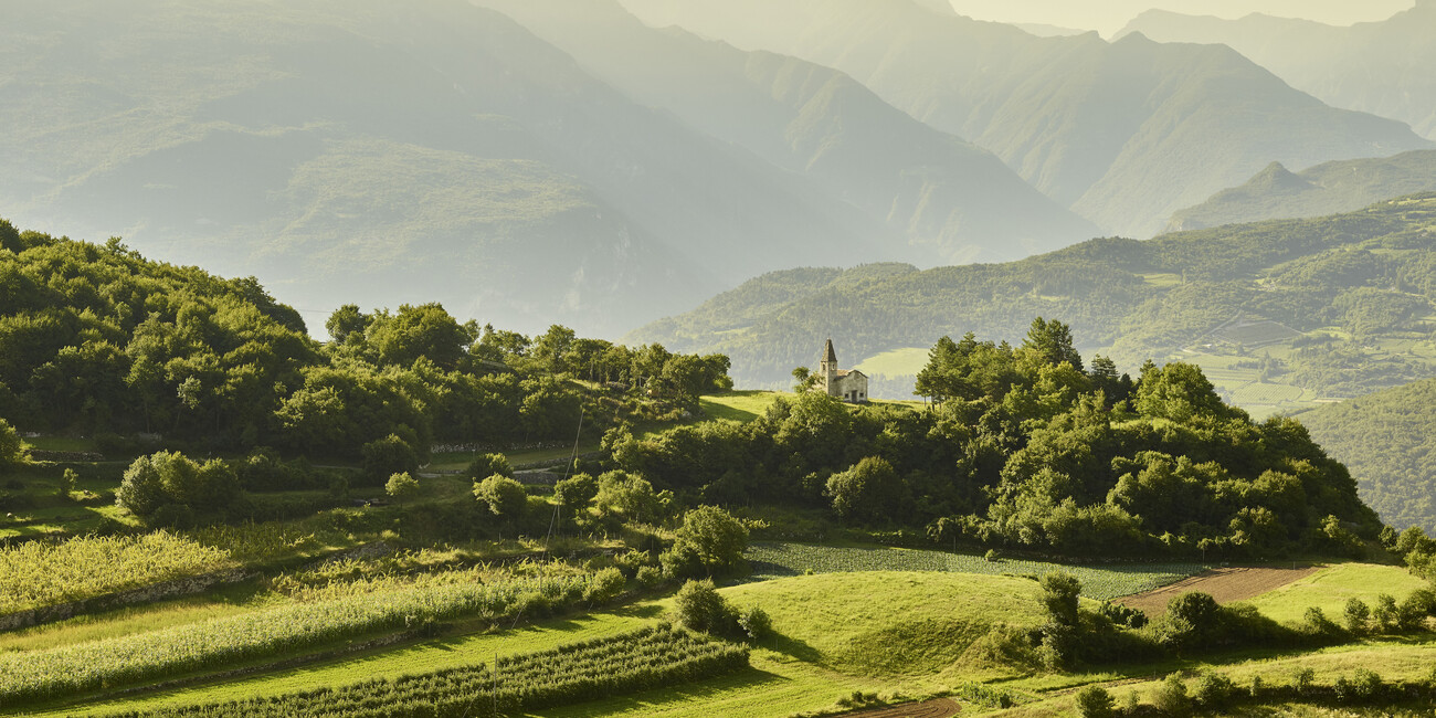 BALANCING DEVELOPMENT WITH PROTECTING BIODIVERSITY  #5