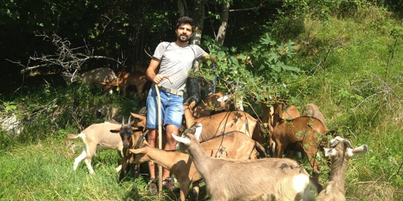 Andrea Incani, the Shepherd-Philosopher #3