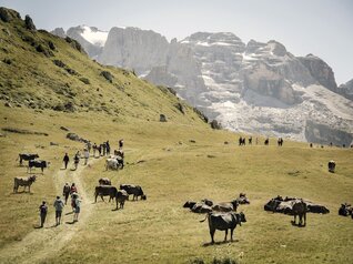APT Madonna di Campiglio - Camp Centener - photo Daniele Lira | © photo Daniele Lira