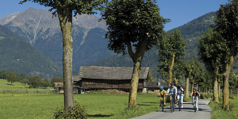 Pedalate primaverili per scoprire il Trentino #1