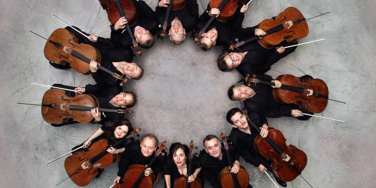 Aprono i 12 violoncellisti dei Berliner Philharmoniker #3