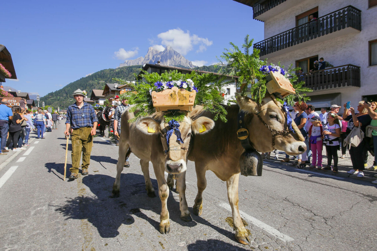 Fiera di Primiero, a wide valley