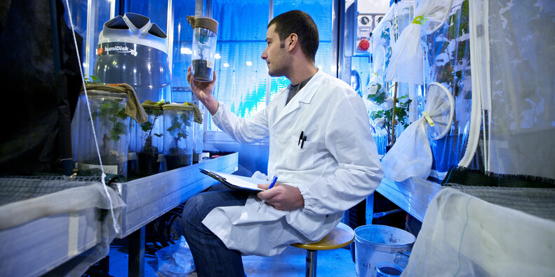 WHY WE LIVE WELL IN TRENTINO #1