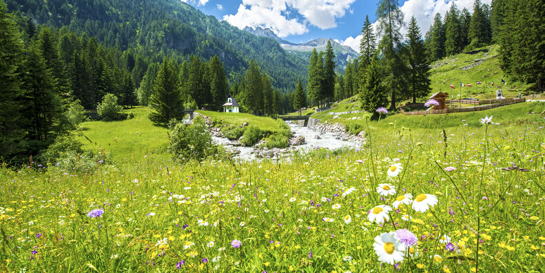 Perché in Trentino si vive bene #4
