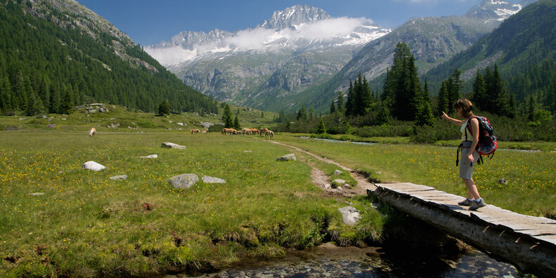 L'oro verde del Trentino si chiama biodiversità #2