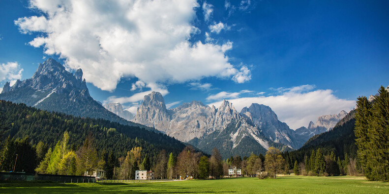 L'oro verde del Trentino si chiama biodiversità #3